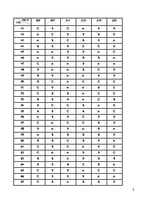 Đáp án đề thi thử THPT Quốc gia môn Hóa học năm 2019 (Mã đề 203, 207, 211, 215, 219, 223) - Sở giáo dục và đào tạo Bắc Ninh